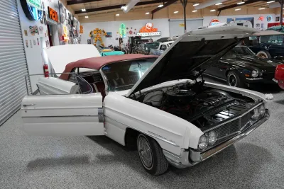 Dynamic 88